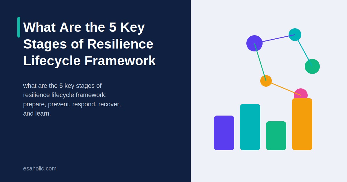 what are the 5 key stages of resilience lifecycle framework