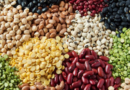 Pulses, a Source of Protein and Minerals